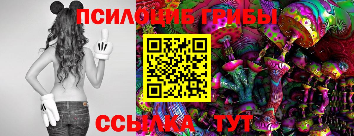Галлюциногенные грибы Cubensis  Вход с VPN  Дербент  Псилоцибиновые грибы мицелий 